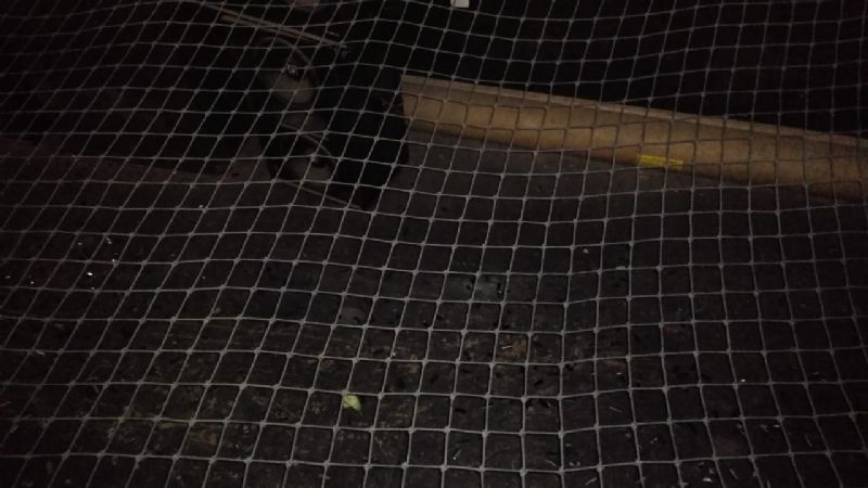 Una mujer se accidentó en el Cine Teatro Catamarca