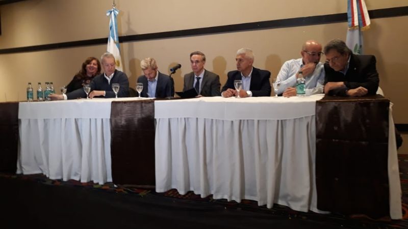 Pichetto en contra los planes y de los gobernadores