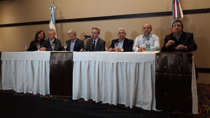 Pichetto en contra los planes y de los gobernadores