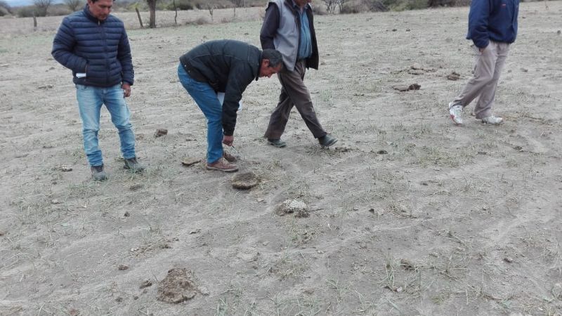 Productores de San José afectados por el granizo
