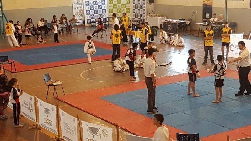 Exitoso 2do. Torneo Escolar de Karate-Do del Pía Didoménico