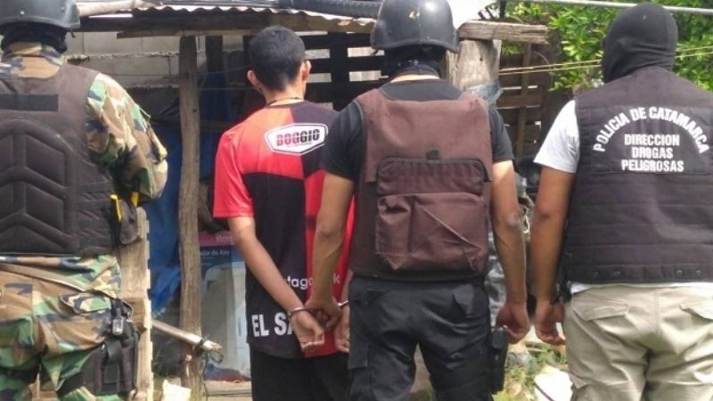 Desbaratan “viveros” de marihuana