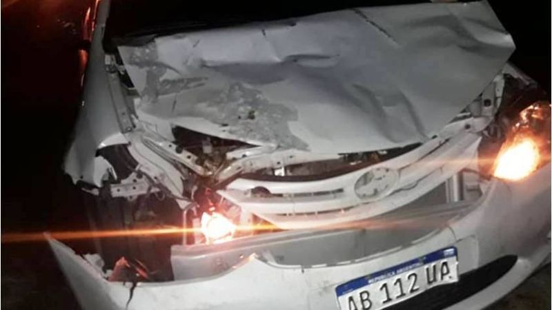 Auto de empresa de turismo chocó con un animal en la ruta 38