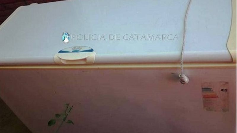 Tras un registro domiciliario recuperan un freezer