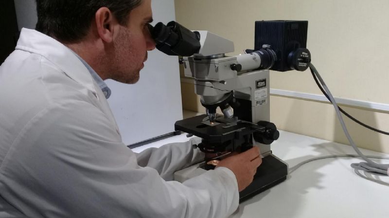 Revelan una nueva “armadura flexible” que tenían los perezosos prehistóricos