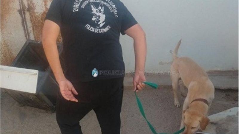 Desbaratan otro kiosco de venta de drogas en el Sur de la ciudad