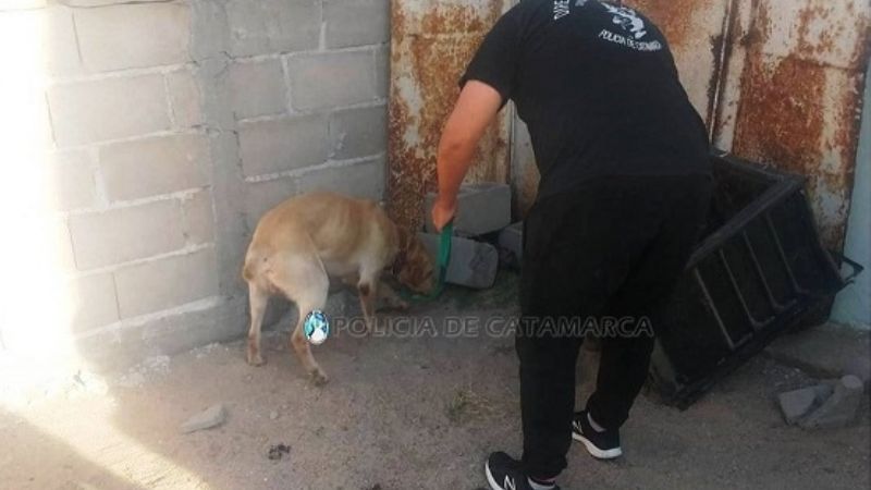 Desbaratan otro kiosco de venta de drogas en el Sur de la ciudad