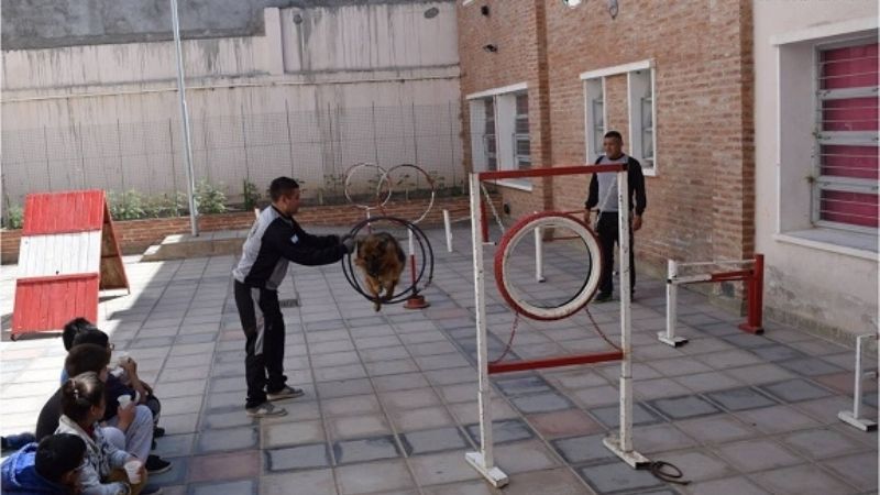 Exhibición de canes en una escuela del centro de la Capital