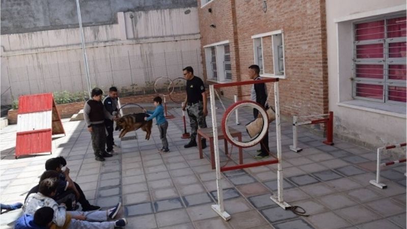 Exhibición de canes en una escuela del centro de la Capital