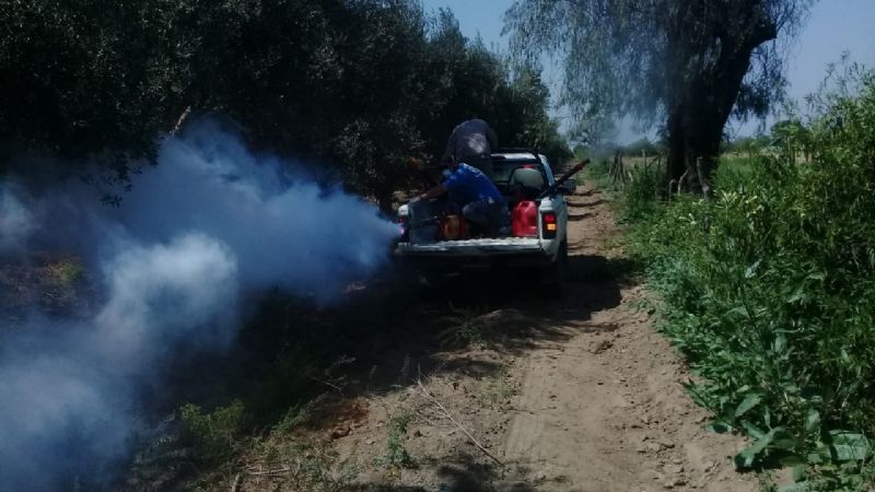 Vectores colabora en el combate de la plaga de langosta en Capayán