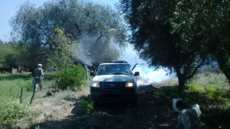 Vectores colabora en el combate de la plaga de langosta en Capayán