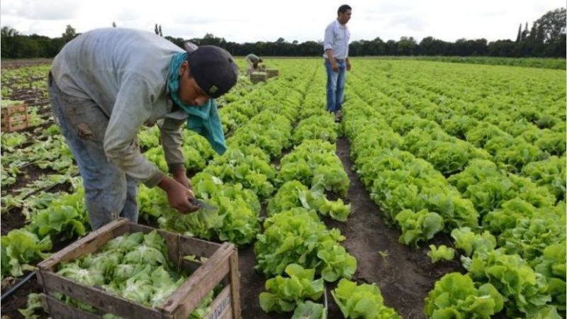 Trabajadores rurales acordaron bono de $5000 en tres cuotas