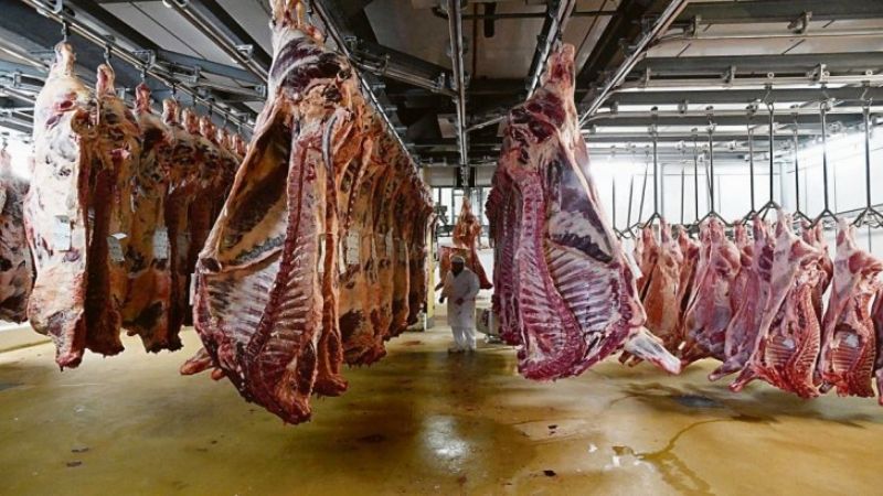 EEUU habilitó cinco nuevos frigoríficos argentinos para exportar carne vacuna