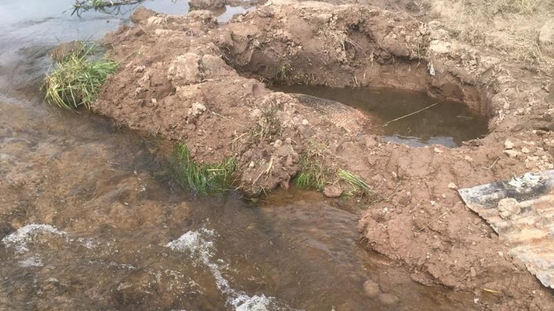 Rescataron los fósiles del gliptodonte hallado en Ezeiza