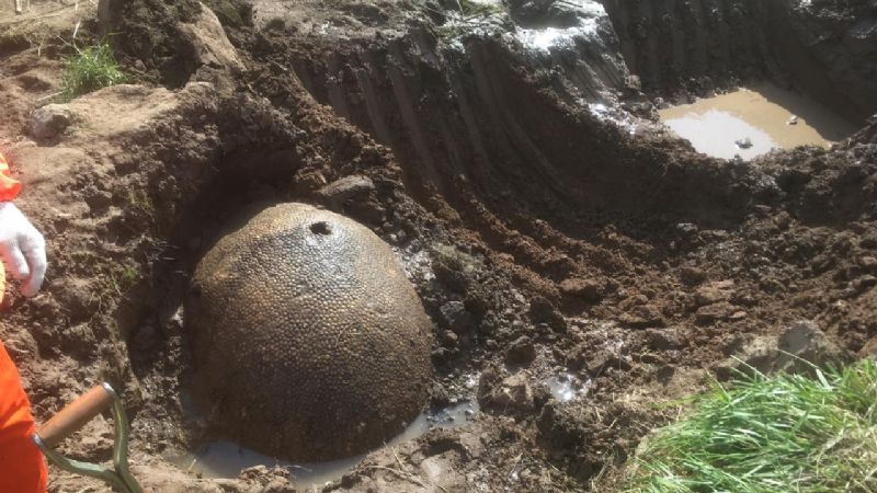 Rescataron los fósiles del gliptodonte hallado en Ezeiza