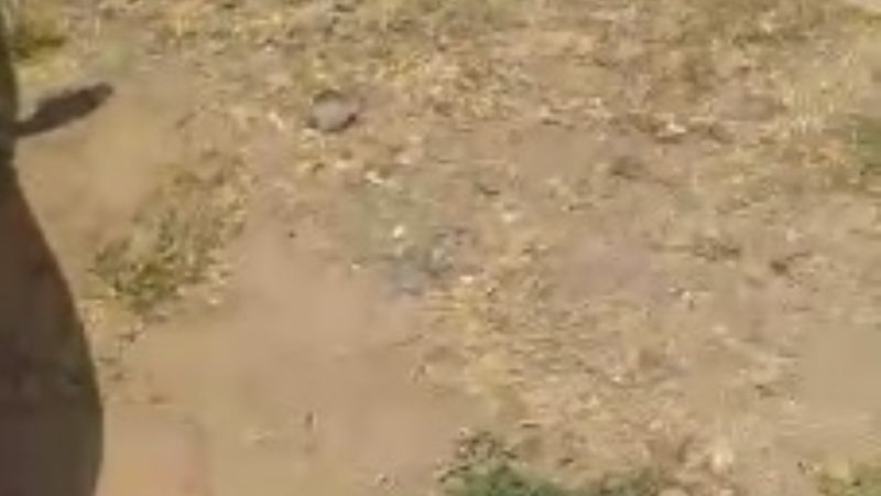 Radares irregulares en la ruta 38, en Chumbicha