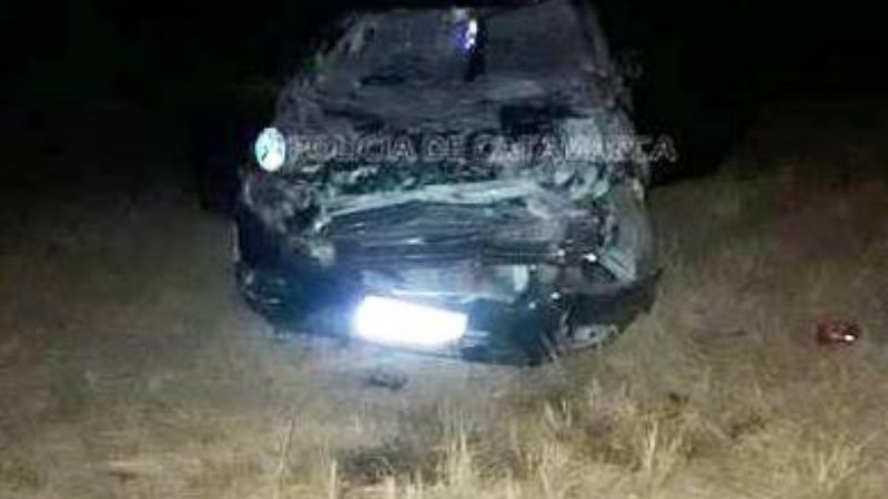 Chocaron contra un animal en la ruta