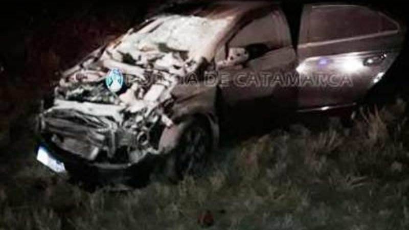 Chocaron contra un animal en la ruta