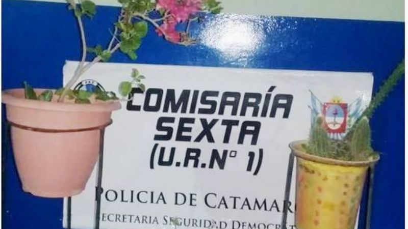 Aprehenden a un joven por el robo de macetas