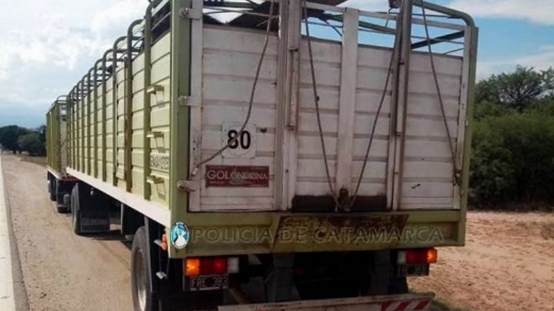 Secuestran mulas en un puesto caminero