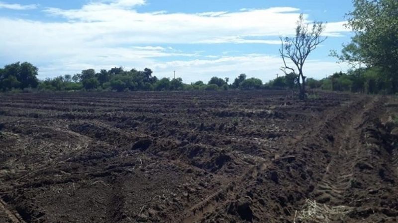 Huerta Popular de Somos - Barrios de Pie