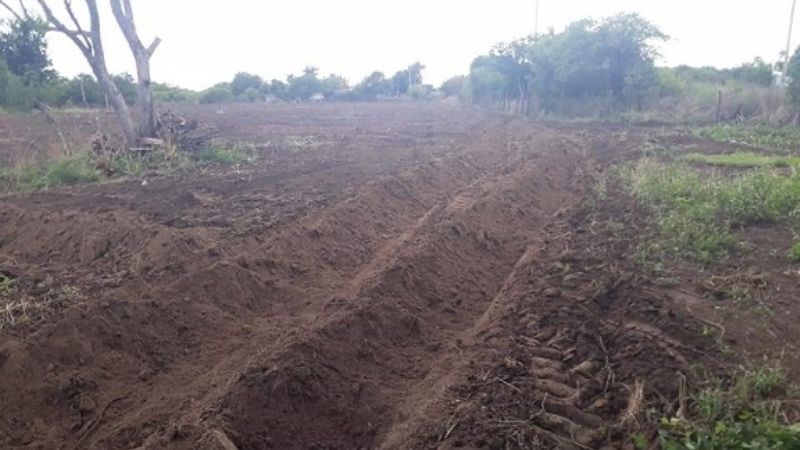 Huerta Popular de Somos - Barrios de Pie