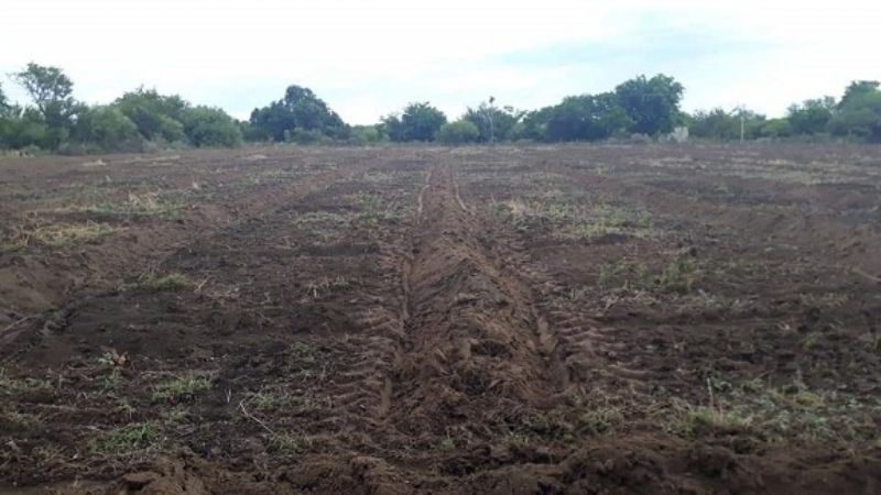 Huerta Popular de Somos - Barrios de Pie