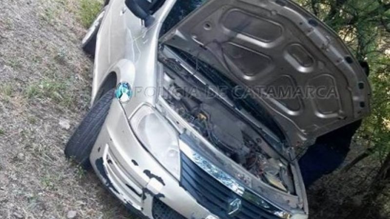 Perdió el control del auto y chocó contra un árbol