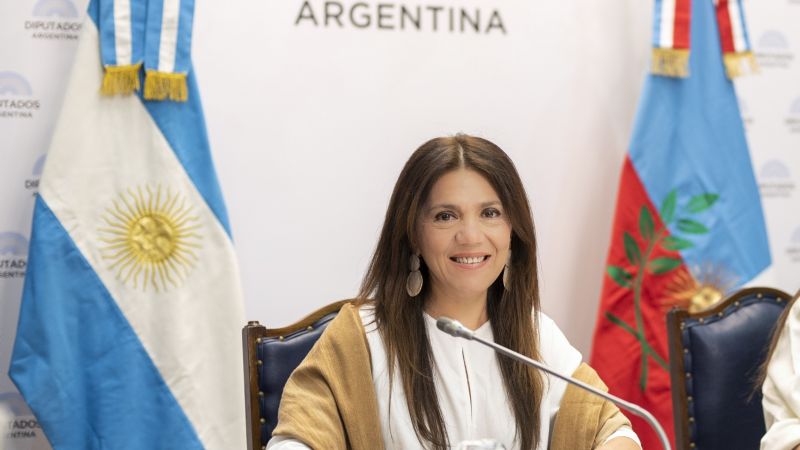 Ginocchio pide restablecer la traza originaria de la ruta 40