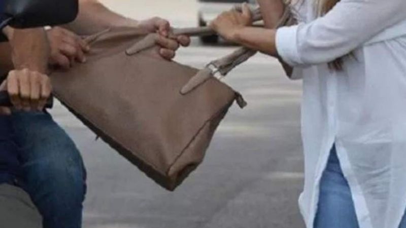 Atrapan a un joven que le robó la cartera a una mujer