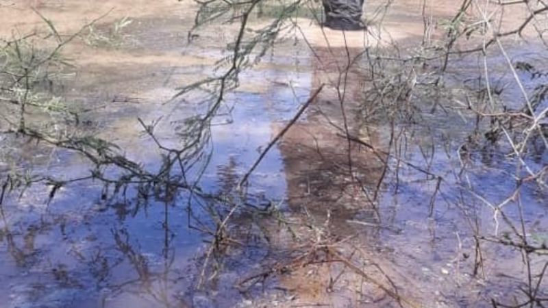 Intenso trabajo para reparar postes derribados por el viento