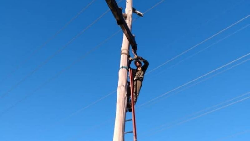 Intenso trabajo para reparar postes derribados por el viento