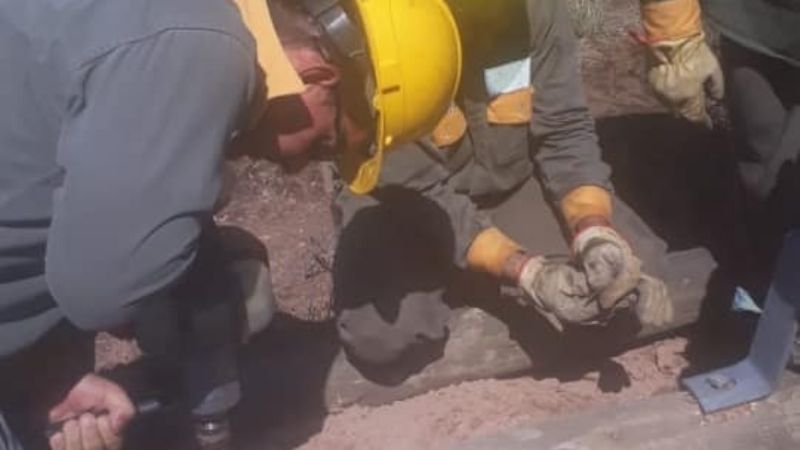 Intenso trabajo para reparar postes derribados por el viento