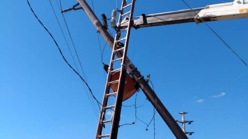 Intenso trabajo para reparar postes derribados por el viento