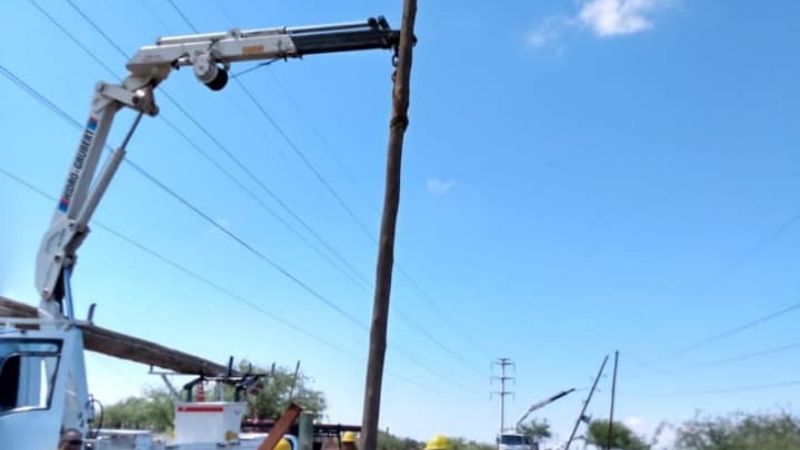 Intenso trabajo para reparar postes derribados por el viento