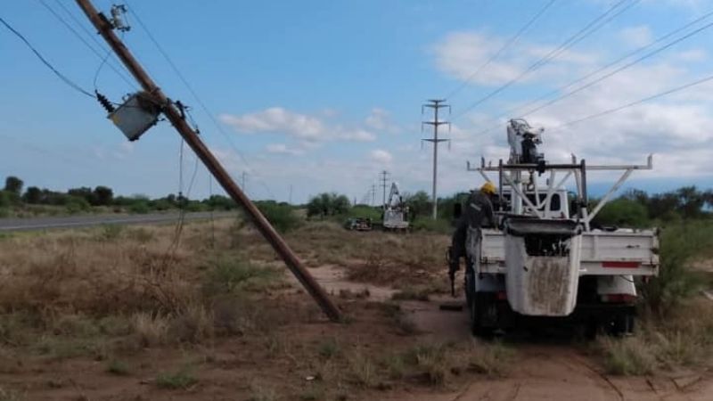 Intenso trabajo para reparar postes derribados por el viento
