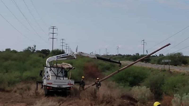 Intenso trabajo para reparar postes derribados por el viento
