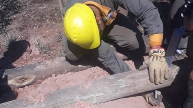 Intenso trabajo para reparar postes derribados por el viento