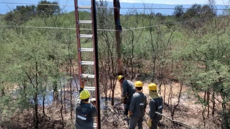 Intenso trabajo para reparar postes derribados por el viento
