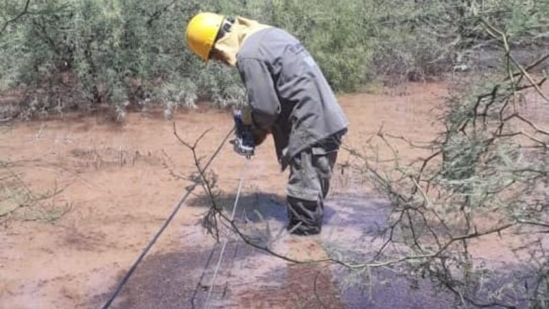 Intenso trabajo para reparar postes derribados por el viento