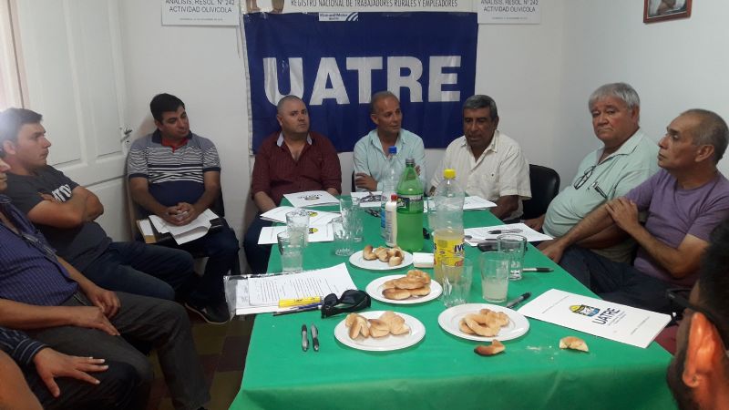 Analizan escala salarial específica para olivícolas