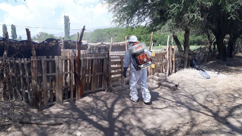 Refuerzan la campaña de fumigación en Santa María