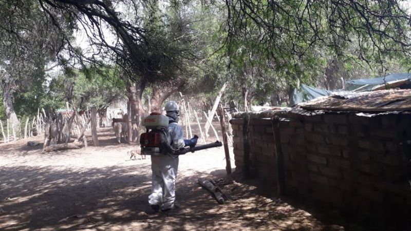 Refuerzan la campaña de fumigación en Santa María