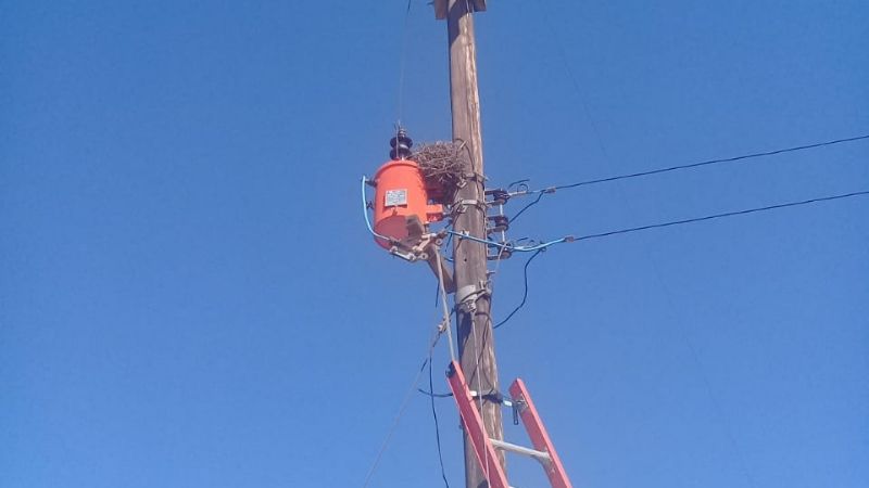 Un hombre murió electrocutado por realizar una conexión clandestina