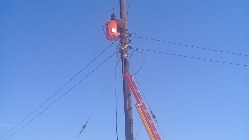 Un hombre murió electrocutado por realizar una conexión clandestina