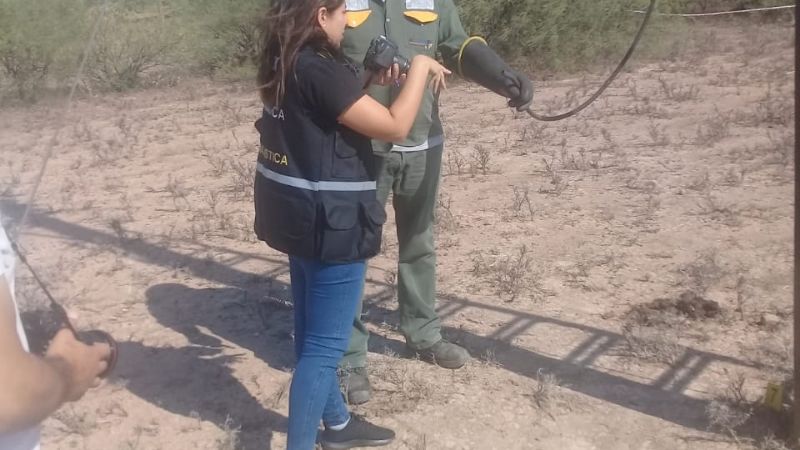 Un hombre murió electrocutado por realizar una conexión clandestina