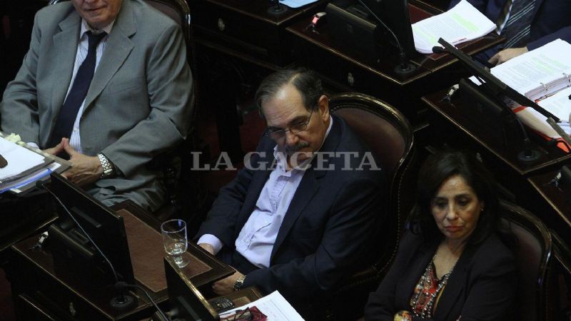 Alperovich pidió licencia sin goce de haberes en el Senado