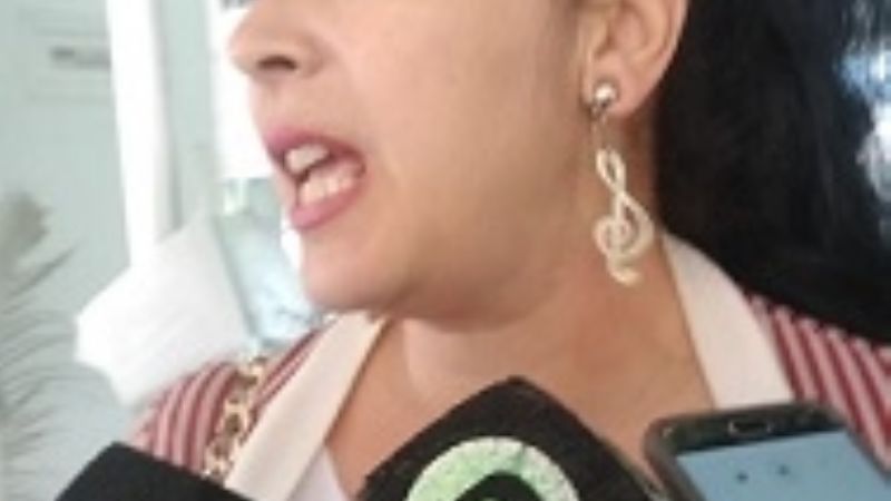 Diputados no trato el proyecto del cupo femenino