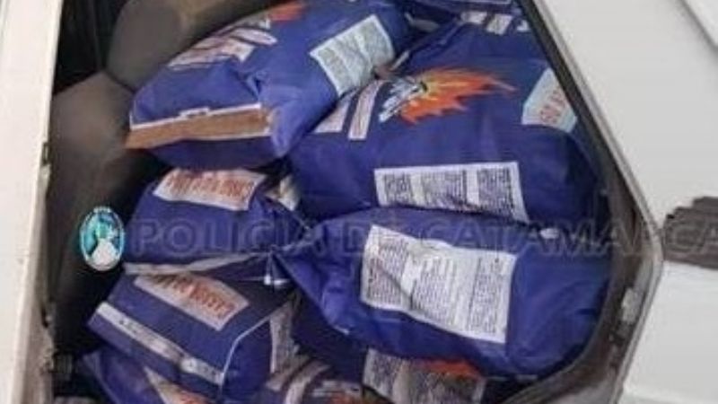 Llevaba 50 bolsas de carbón sin la guía correspondiente