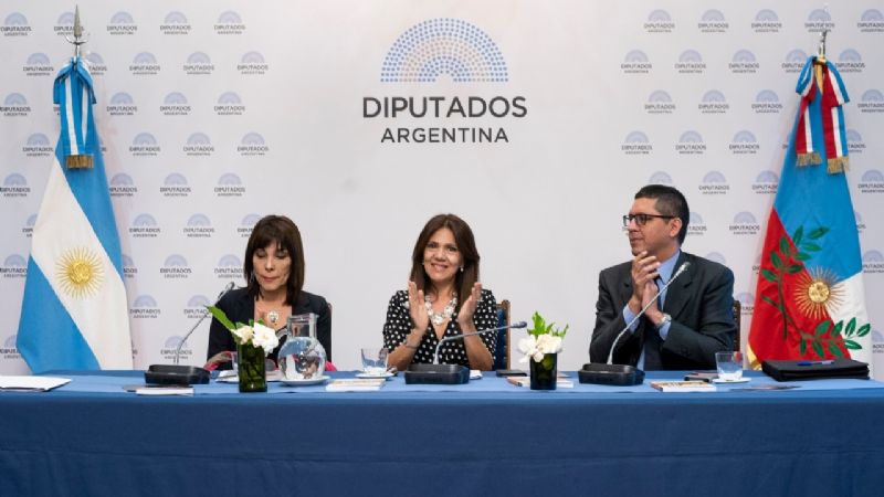 Se presentó en el Congreso el libro “Hombres Pájaros del Manchao”